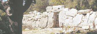 Bild "MEGALITH ON MALLORCA:banner-megalith-SesPaisses.jpg"