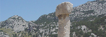 Bild "MEGALITH AUF MALLORCA:banner-megalith-Almallutx.jpg"